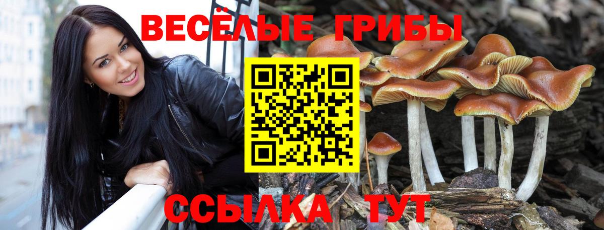 Галлюциногенные грибы мицелий Туапсе