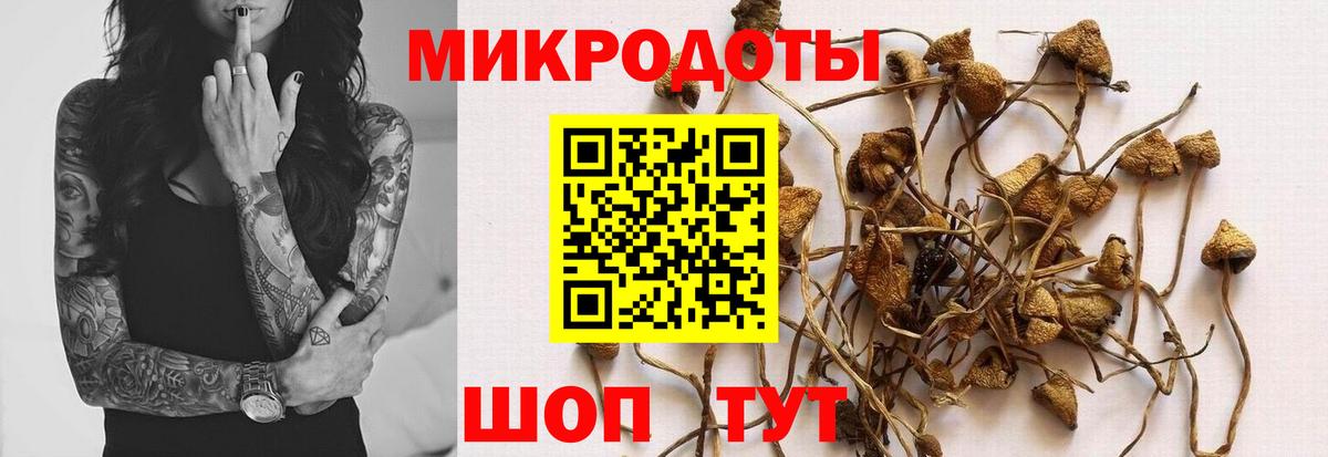 Туапсе  Галлюциногенные грибы прущие грибы  Вход с VPN 