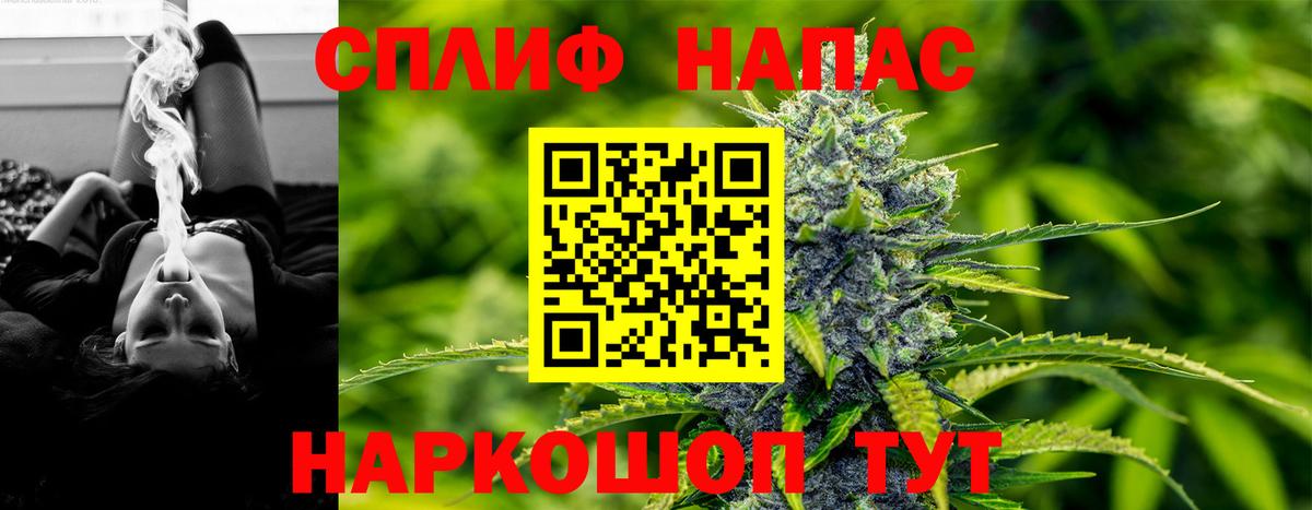 Бошки Шишки планчик Туапсе
